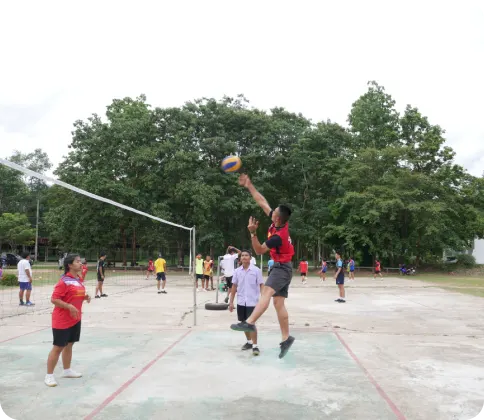 volley ball-img